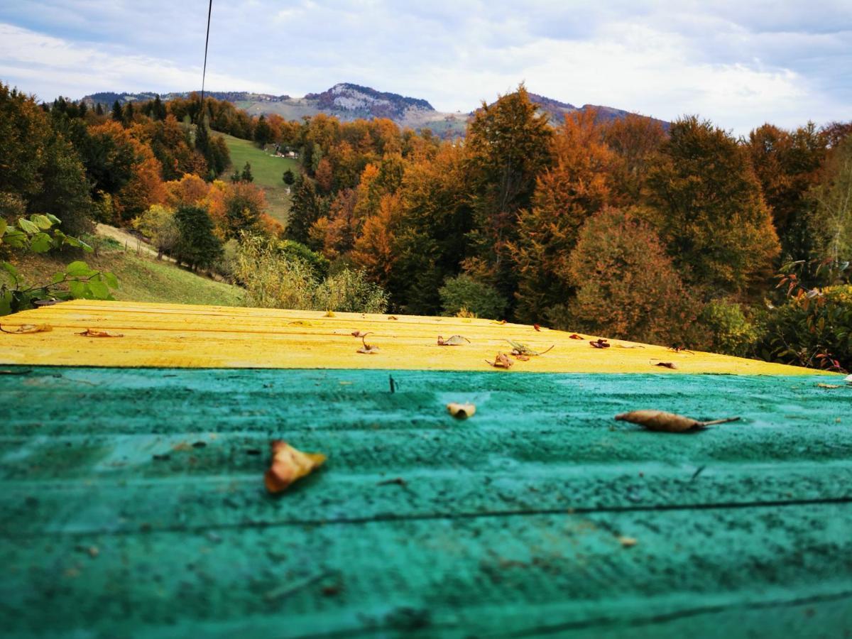 Pensiunea Tabacaru Peştera Exteriér fotografie