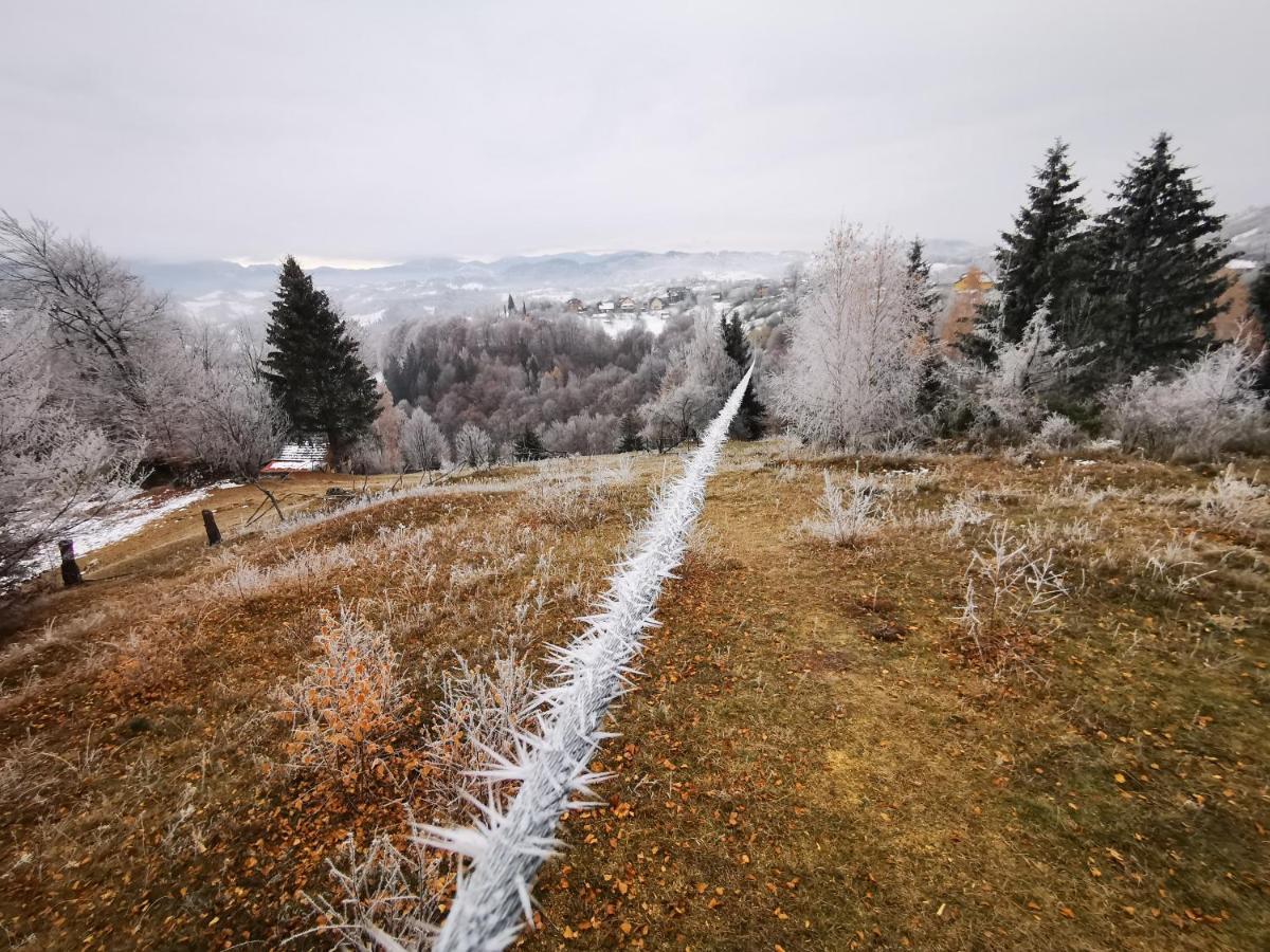 Pensiunea Tabacaru Peştera Exteriér fotografie