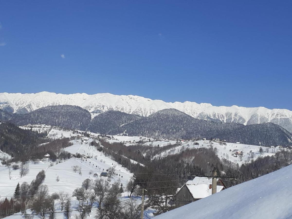 Pensiunea Tabacaru Peştera Exteriér fotografie