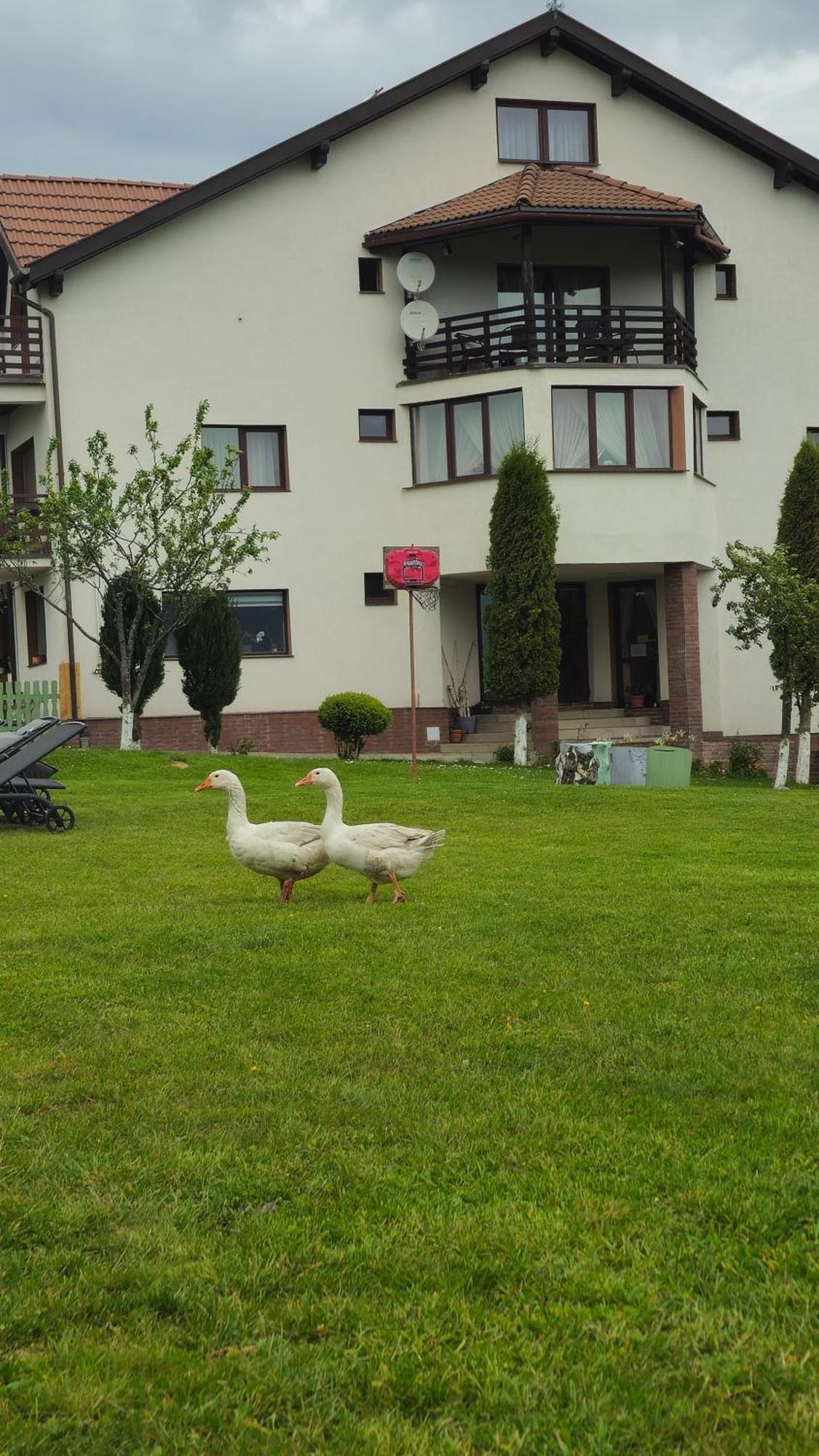Pensiunea Tabacaru Peştera Exteriér fotografie