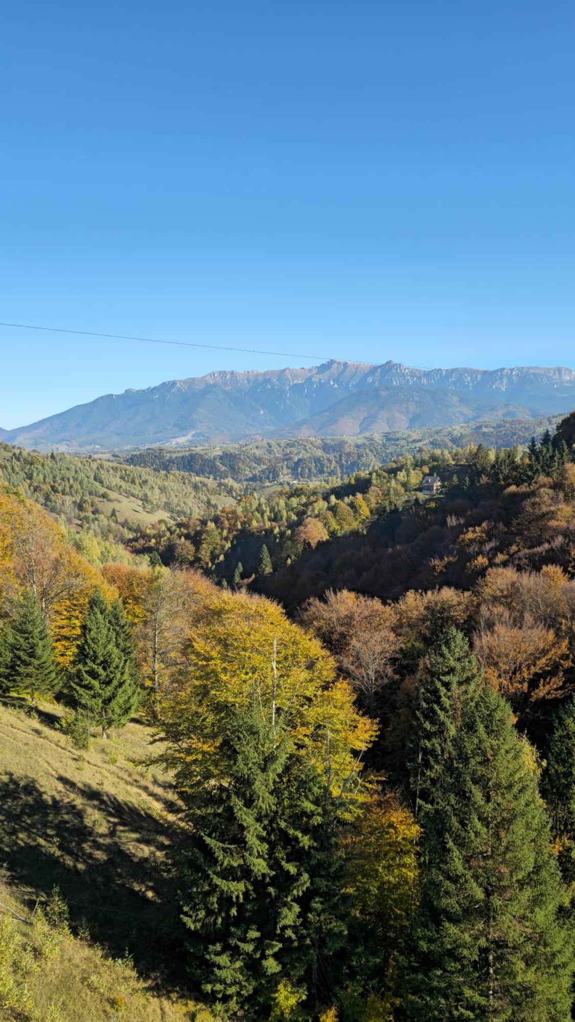 Pensiunea Tabacaru Peştera Exteriér fotografie