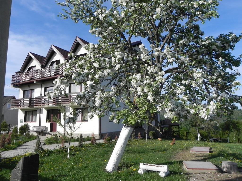 Pensiunea Tabacaru Peştera Exteriér fotografie