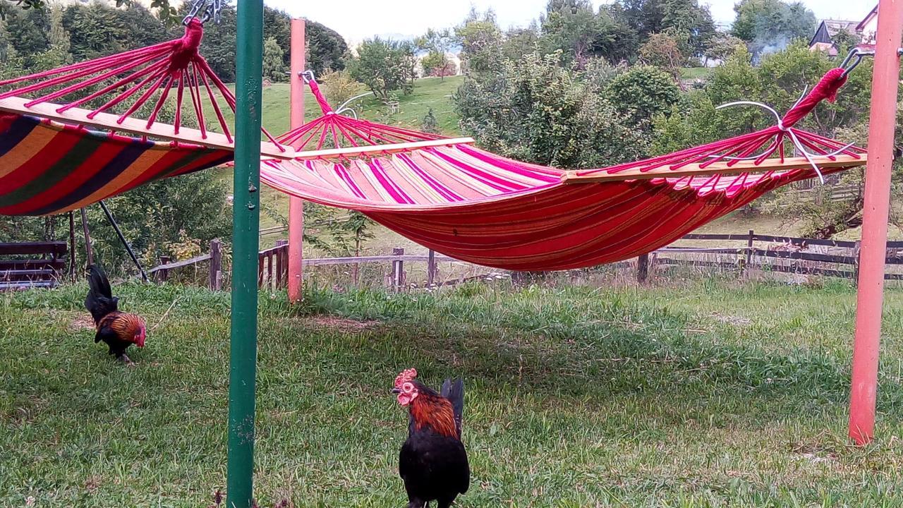 Pensiunea Tabacaru Peştera Exteriér fotografie