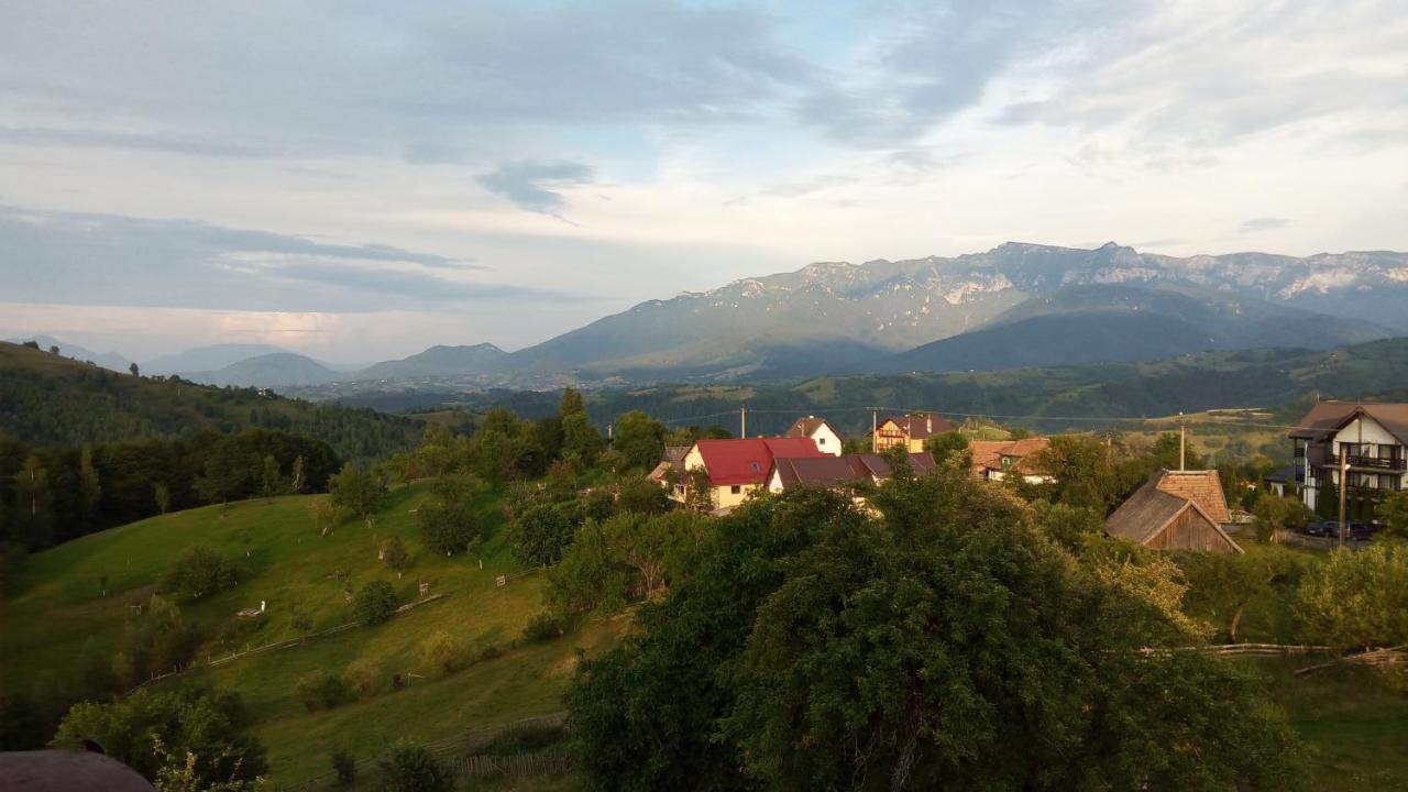 Pensiunea Tabacaru Peştera Exteriér fotografie