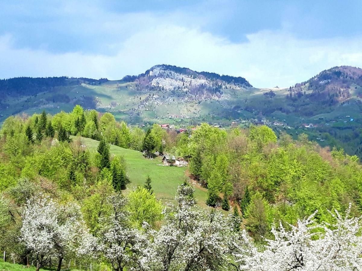 Pensiunea Tabacaru Peştera Exteriér fotografie